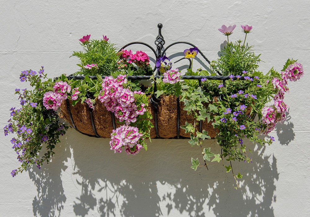 Planten in mandjes aan de muur in de tuin