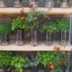 DIY planten bloempotten idee met plastic flessen